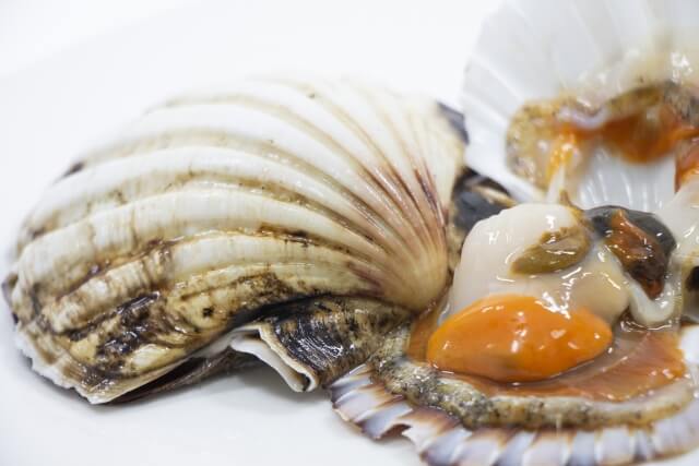 貝好き必見 イタヤ貝の味や旬を解説 ハマちゃんによる鮨のトリセツ