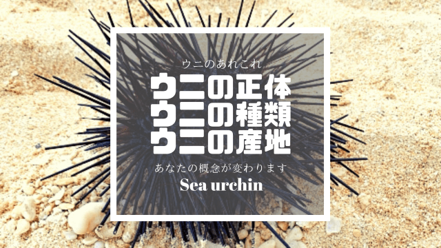 寿司 ウニの種類や産地を解説 本物のウニ ハマちゃんによる鮨のトリセツ 寿司 ウニの種類や産地を解説 本物のウニ ハマちゃんによる鮨のトリセツ